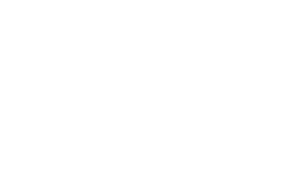 LAPA 81